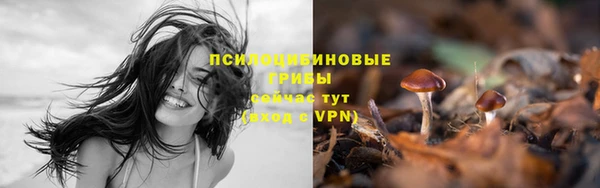 мяу мяу кристалл Нязепетровск