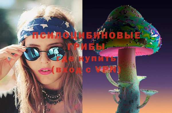 гашик Алзамай