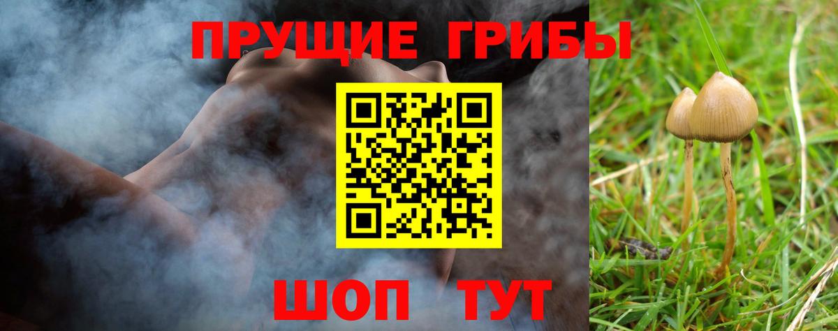 цена   Галлюциногенные грибы ЛСД  Вход с VPN  Братск  Галлюциногенные грибы мицелий 